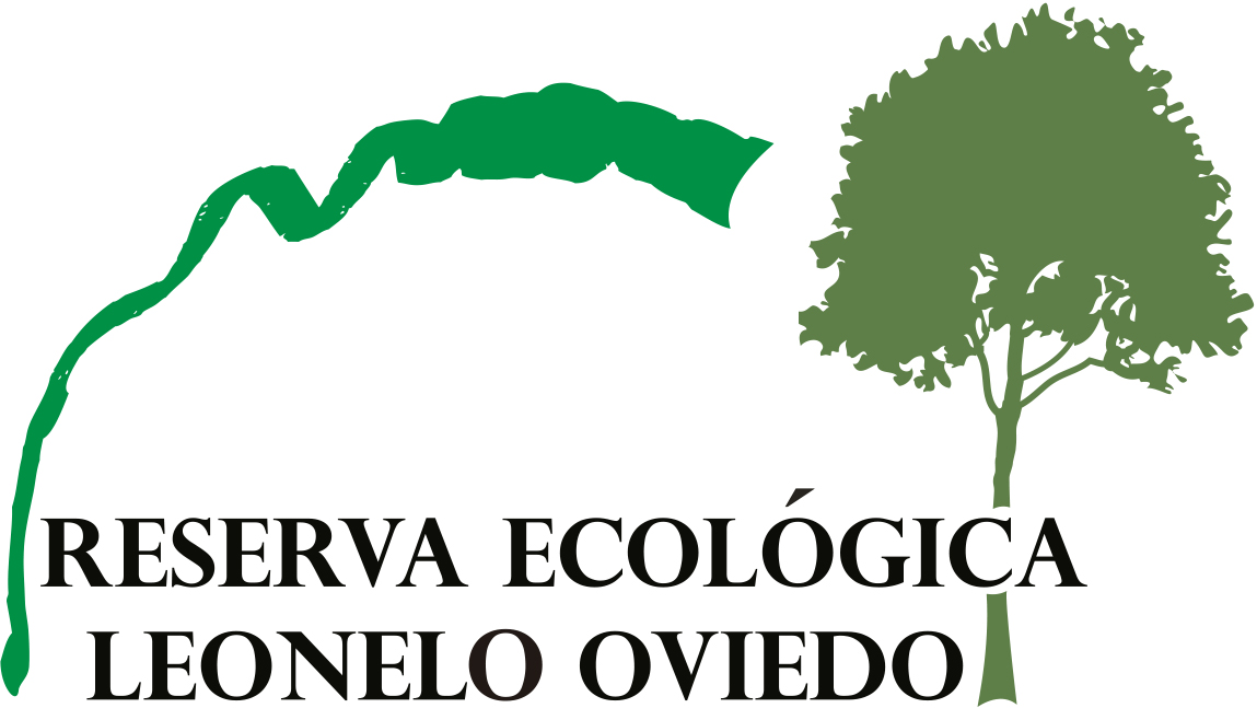 Logo_Bosque_leonelo